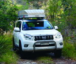 Victoria's Hopkins River provides some good sport fishing options for loclas in the know. Image: Tim Vincent